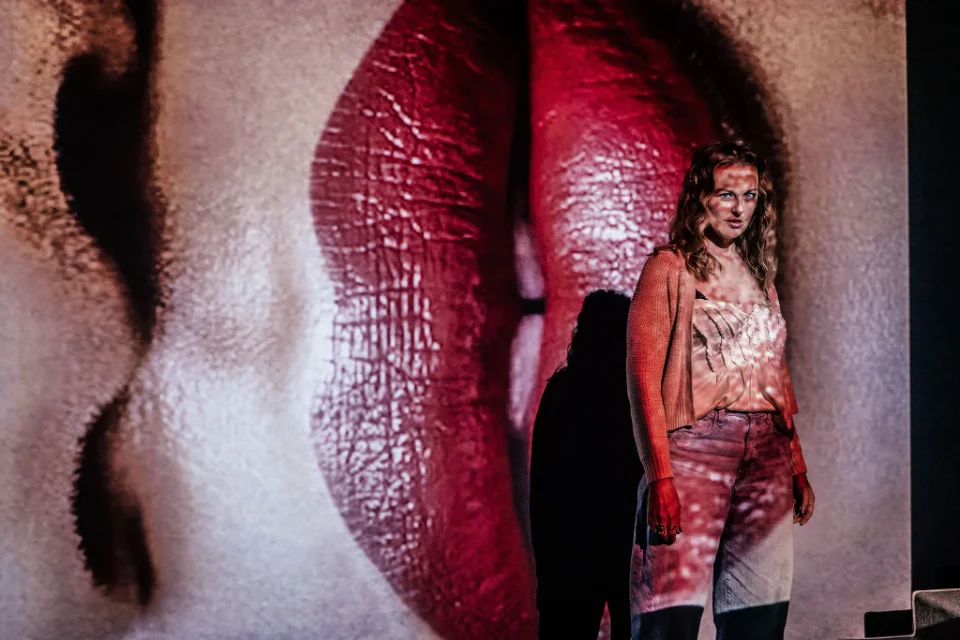 The Menopause Monologues — production image